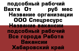 подсобный рабочий . Вахта. От 30 000 руб./мес. › Название организации ­ ООО Спецресурс › Название вакансии ­ подсобный рабочий - Все города Работа » Вакансии   . Хабаровский край